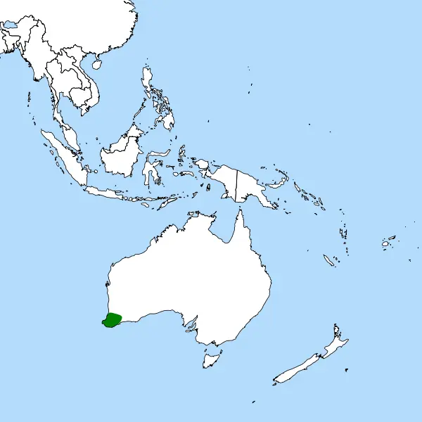 Localisation du Cephalotus follicularis