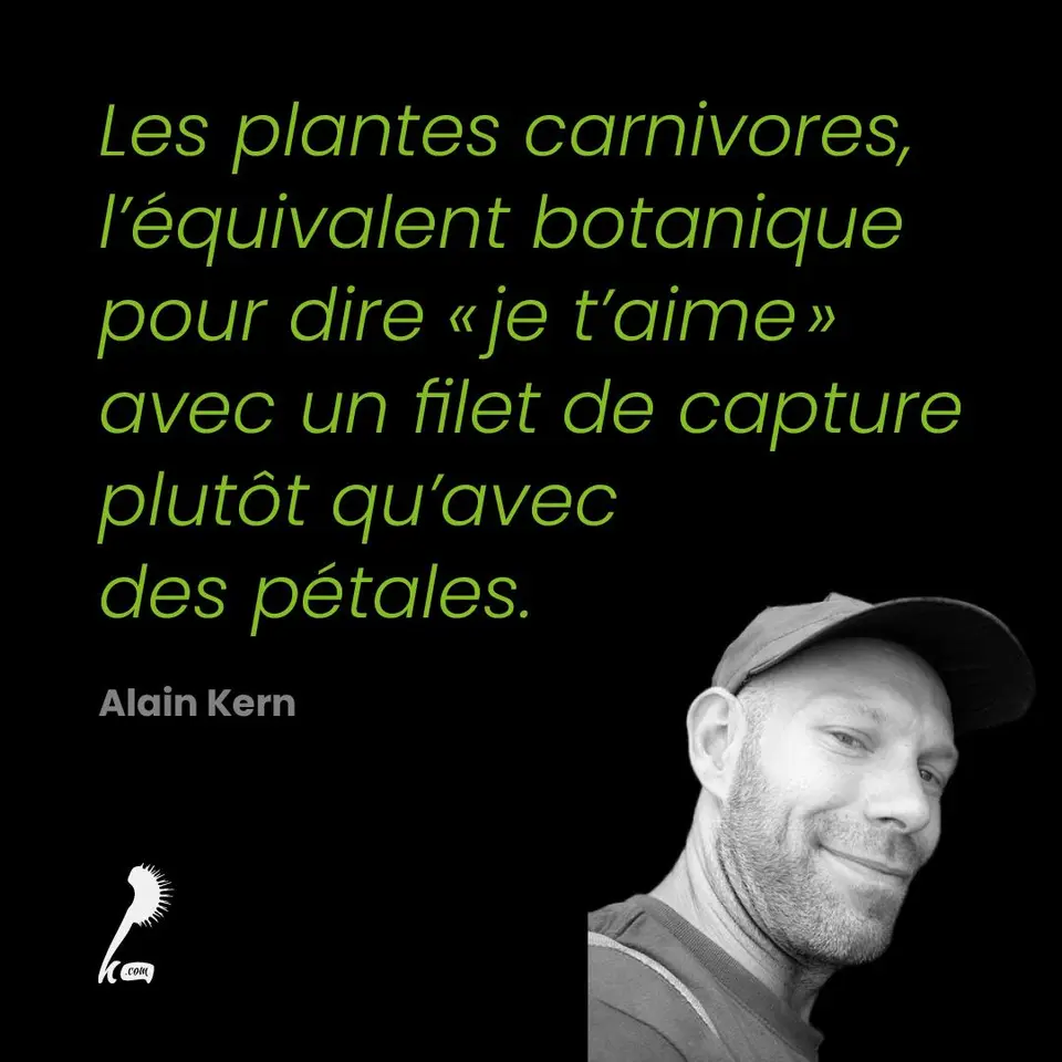 « Les plantes carnivores, l'équivalent botanique pour dire "je t'aime" avec un filet de capture plutôt qu'avec des pétales. » Alain Kern