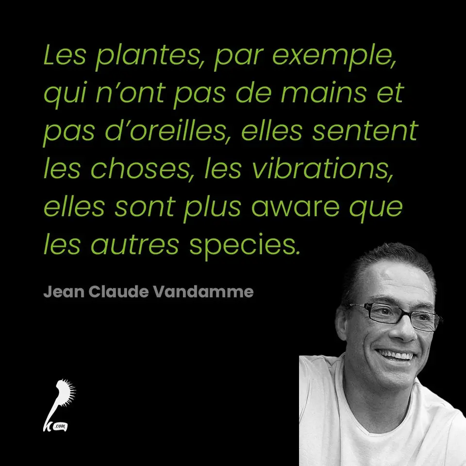 « Les plantes, par exemple, qui n'ont pas de mains et pas d'oreilles, elles sentent les choses, les vibrations, elles sont plus aware que les autres species. » Jean Claude Vandamme