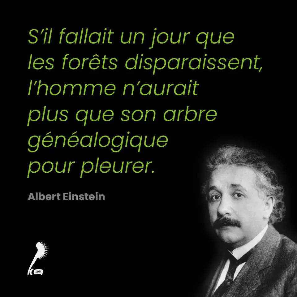 « S'il fallait un jour que les forêts disparaissent, l'homme n'aurait plus que son arbre généalogique pour pleurer. » Albert Einstein