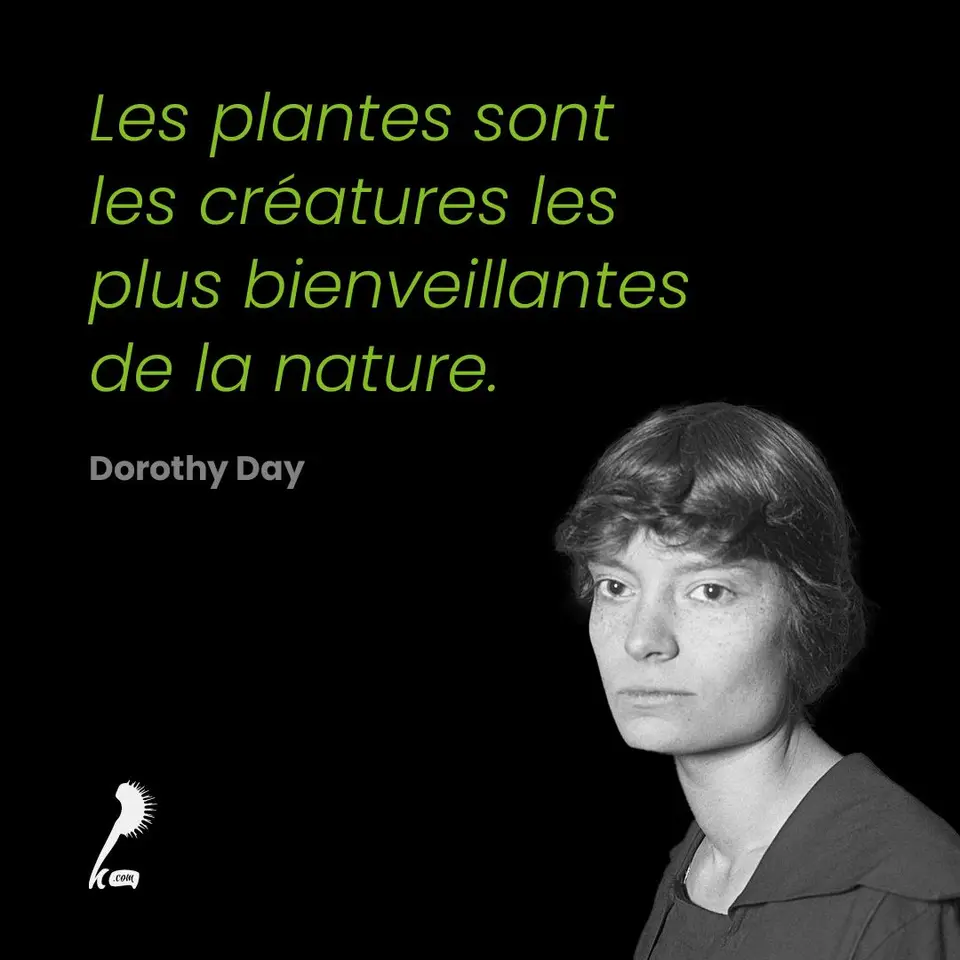 « Les plantes sont les créatures les plus bienveillantes de la nature » Dorothy Day
