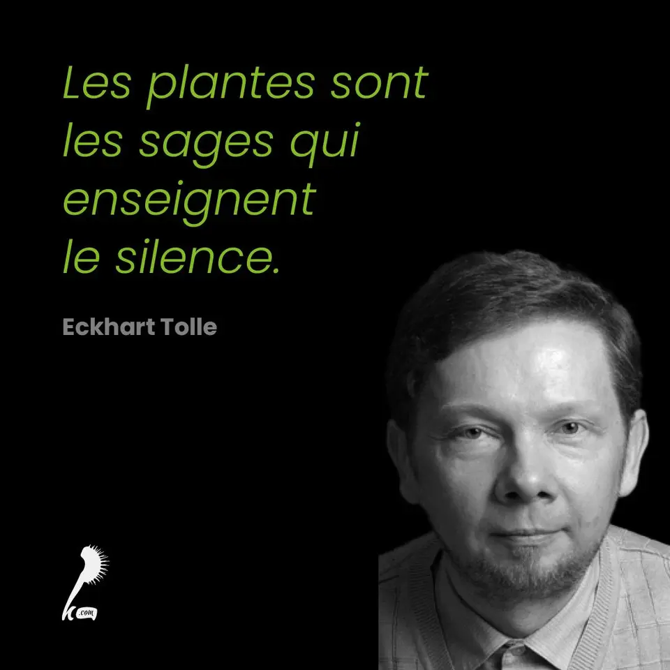 « Les plantes sont les sages qui enseignent le silence » Eckhart Tolle