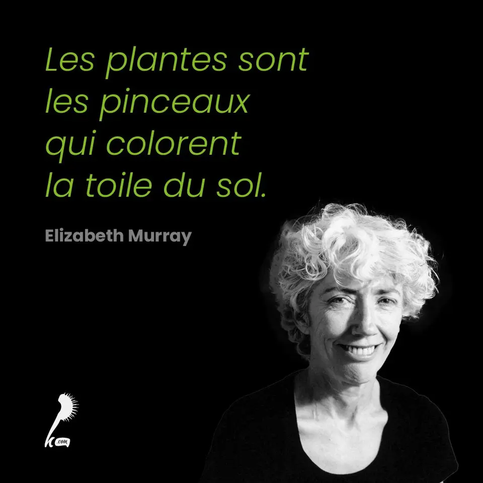 « Les plantes sont les pinceaux qui colorent la toile du sol » Elizabeth Murray