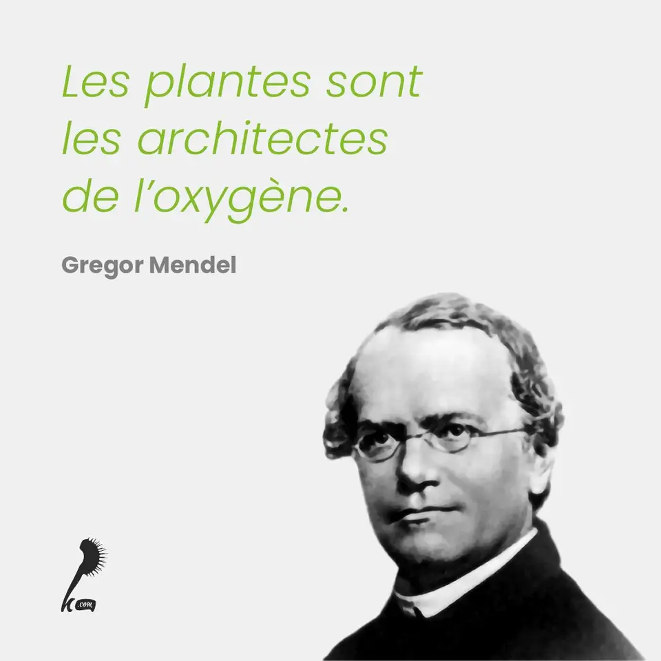 « Les plantes sont les architectes de l'oxygène » Gregor Mendel