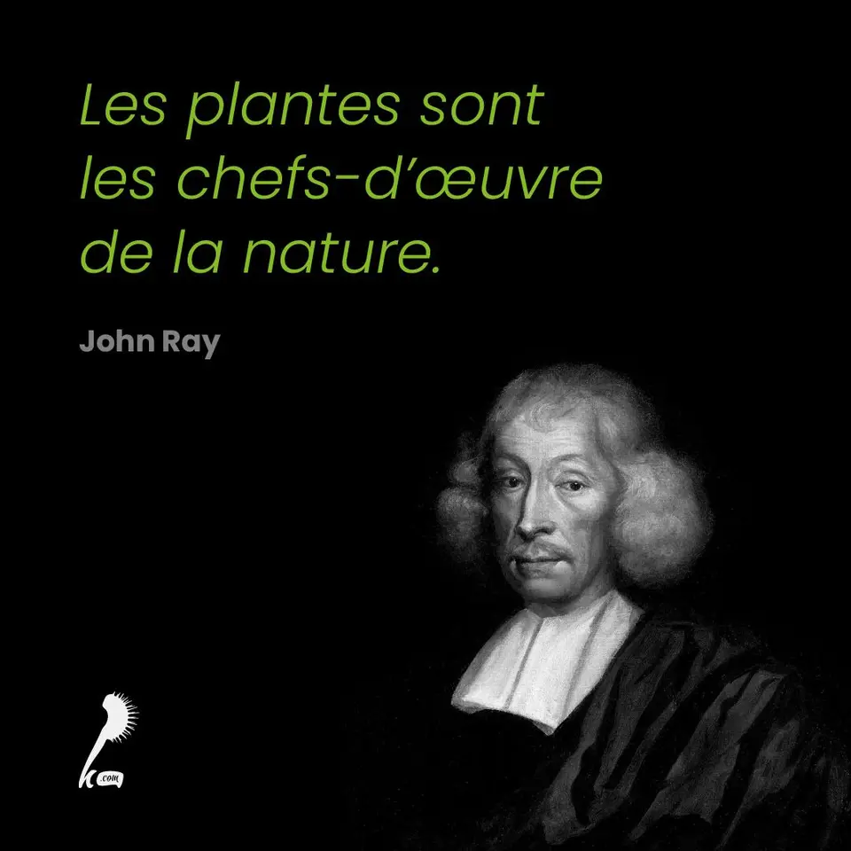 « Les plantes sont les chefs-d'œuvre de la nature » John Ray