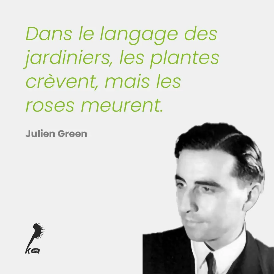 « Dans le langage des jardiniers, les plantes crèvent, mais les roses meurent. » Julien GREEN