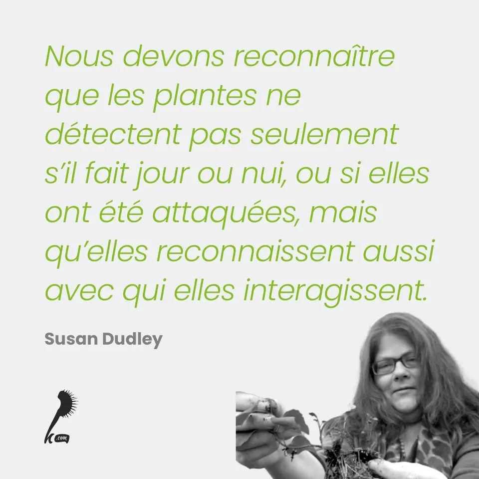 « Nous devons reconnaître que les plantes ne détectent pas seulement s'il fait jour ou nui, ou si elles ont été attaquées, mais qu'elles reconnaissent aussi avec qui elles interagissent. » Susan Dudley