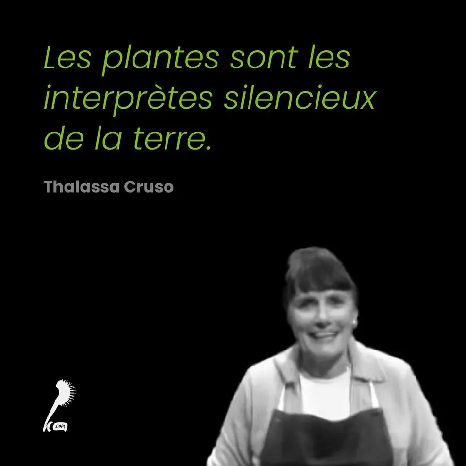 « Les plantes sont les interprètes silencieux de la terre » Thalassa Cruso