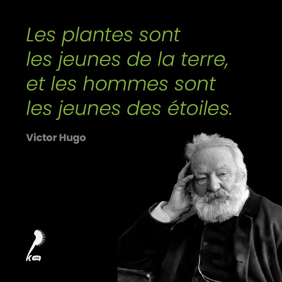 « Les plantes sont les jeunes de la terre, et les hommes sont les jeunes des étoiles. » Victor Hugo