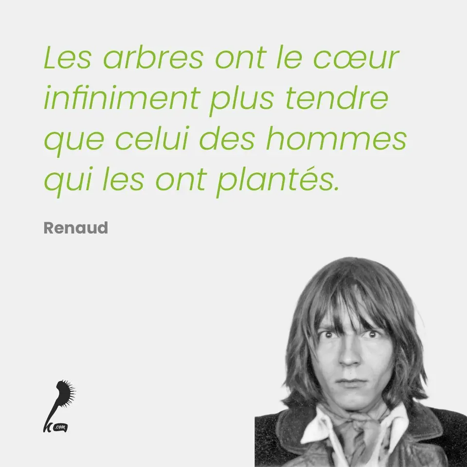 « Les arbres ont le cœur infiniment plus tendre que celui des hommes qui les ont plantés. » Renaud 