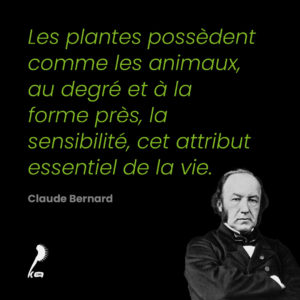 Citation de Claude Bernard sur les plantes : citation