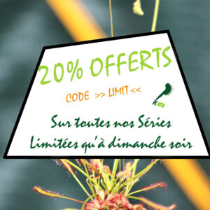 Profitez de –20 % sur nos Séries Limitées : image à la une