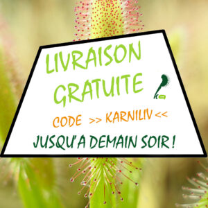 Livraison gratuite jusqu&rsquo;à Jeudi minuit ! : image à la une