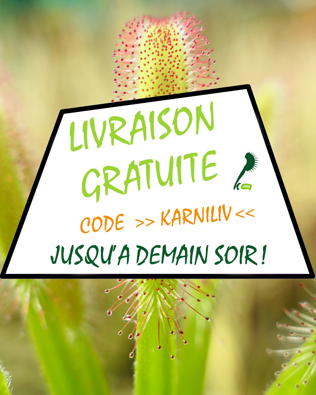 Livraison gratuite jusqu&rsquo;à Jeudi minuit ! : Image à la une