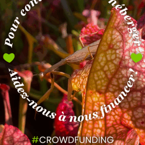Objectif zéro impact ! Soutenez notre transition avec Miimosa : image à la une