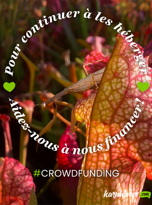 Crowdfunding miimosa horticulture karnivores