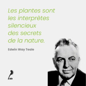 Citation de Edwin Way Teale sur les plantes : citation