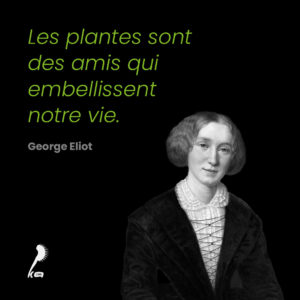 Citation de George Eliot sur les plantes : citation