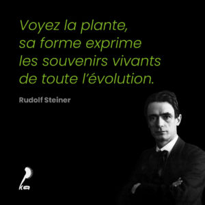 Citation de Rudolf Steiner sur les plantes : citation