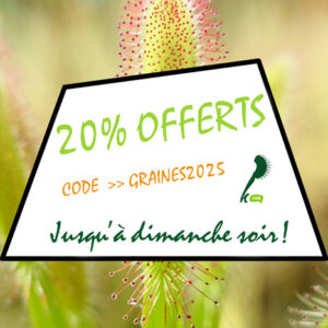 20% offerts sur toutes nos graines : image à la une