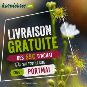 Livraison offerte dès 59€ d’achat jusqu’à dimanche minuit : image à la une
