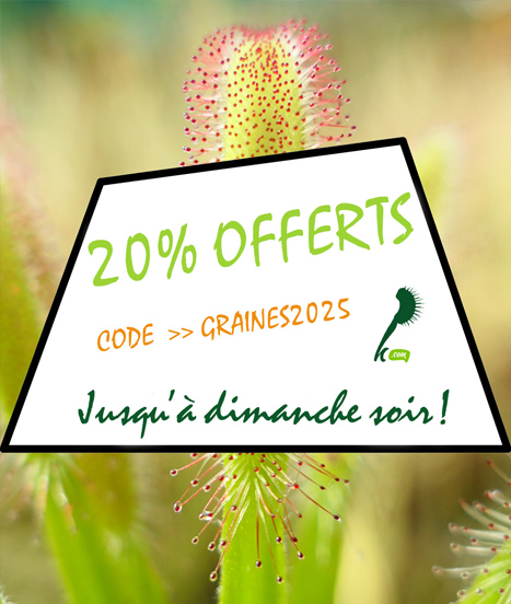 Promotion graines plantes carnivores chez Karnivores