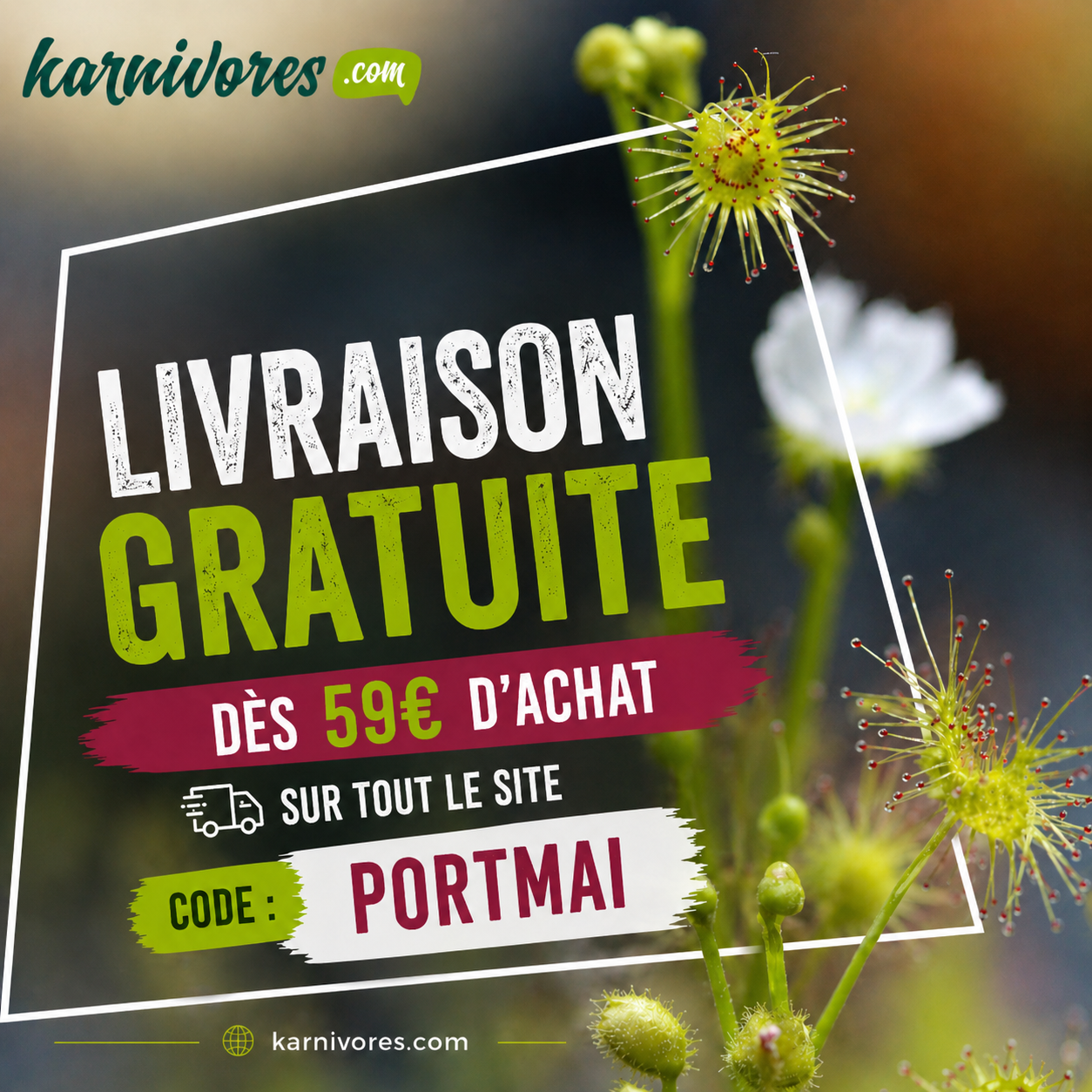 Livraison offerte dès 59€ d’achat jusqu’à dimanche minuit : Image à la une