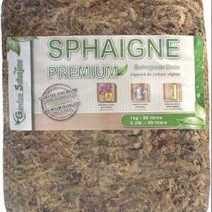 Sphaigne déshydratée ou substrat classique : quel choix pour des plantes vraiment en bonne santé ? : image à la une